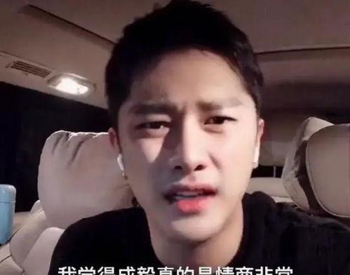 演员成毅最新爆料视频播放,演艺圈幕后故事大公开  第1张